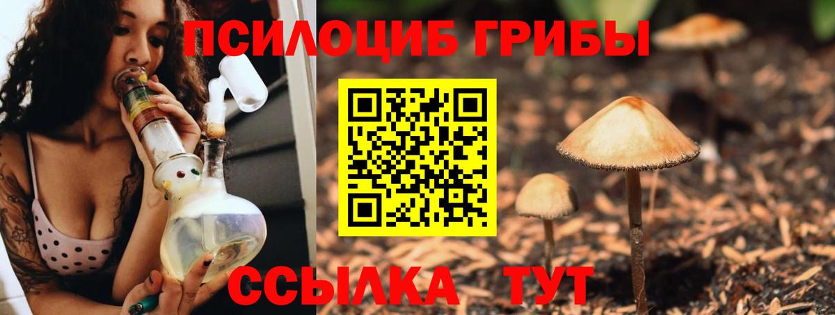 Зима  где продают   Вход с VPN  Галлюциногенные грибы Magic Shrooms 